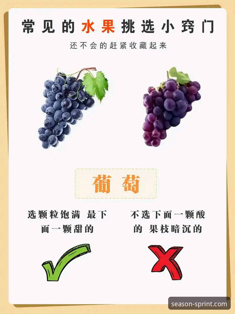 新手必看：四季体育使用体验的实用技巧与必备知识